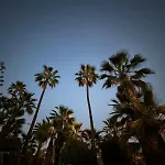Paraiso, Tenerife Sur Appartement Chayofa