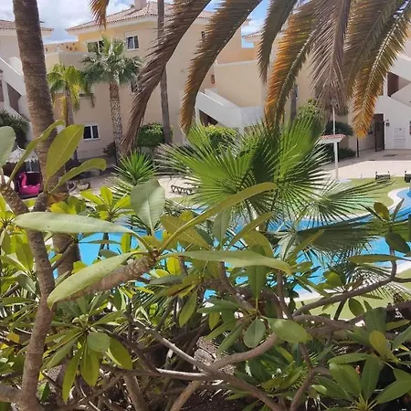 Апартаменты Paraiso, Tenerife Sur