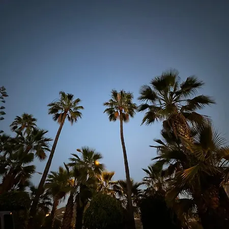 Paraiso, Tenerife Sur Διαμέρισμα Chayofa