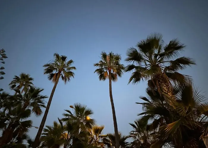 Paraiso, Tenerife Sur Daire Chayofa